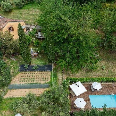 La Casa Sui Colli Villa Uzzano ภายนอก รูปภาพ