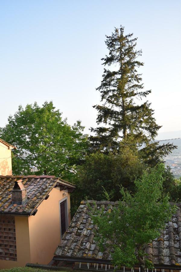 La Casa Sui Colli Villa Uzzano ภายนอก รูปภาพ